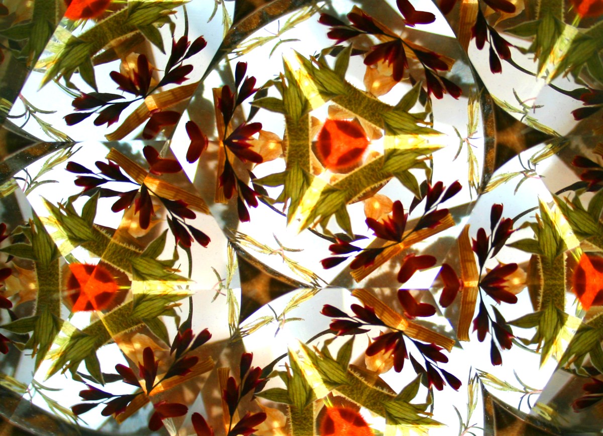 Looking through a Flowerscope