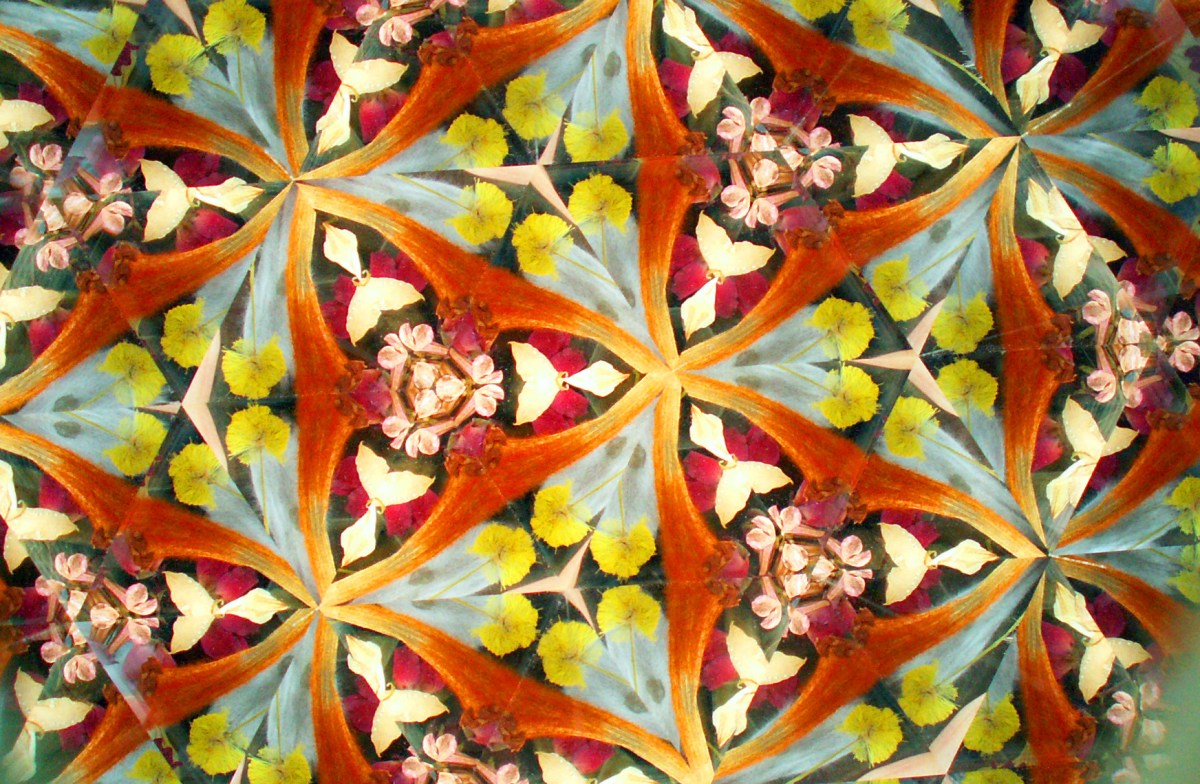 Looking through a Flowerscope