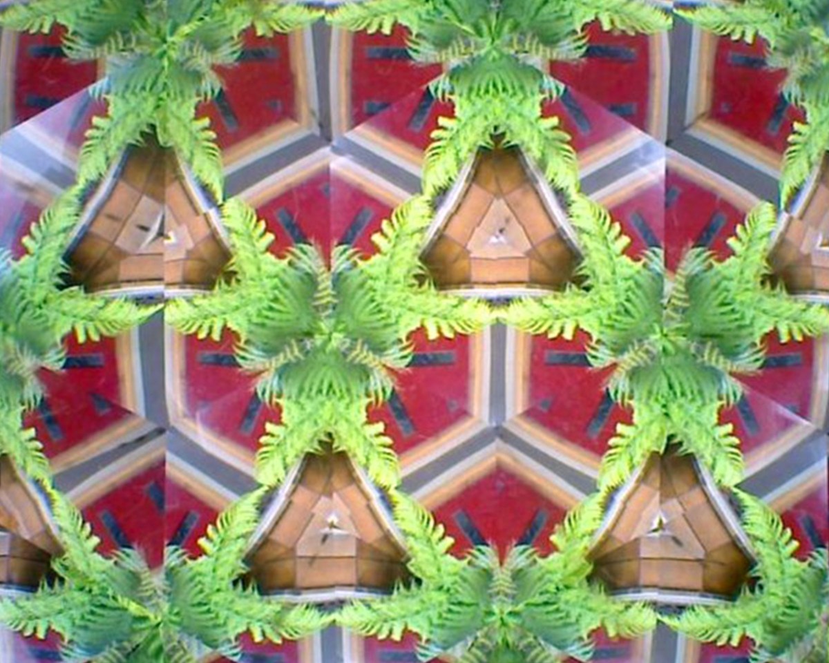 Looking through a Lenscope