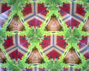 Looking through a Lenscope